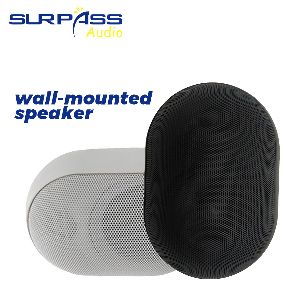 Audio Music Background - 30W Wall-mounted Speaker Waterproof IP55 Public