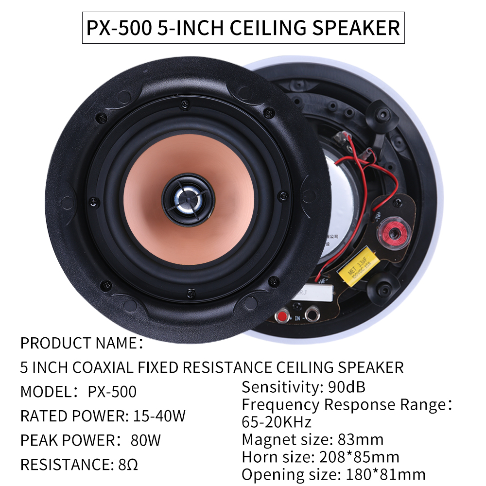 5.1 Home Theater Ceiling Speak - đánh giá và giá Audio Music Background