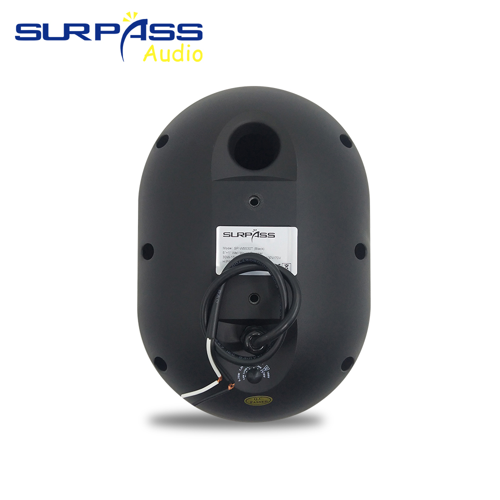 30W Wall-mounted Speaker Water - đánh giá và giá Audio Music Background